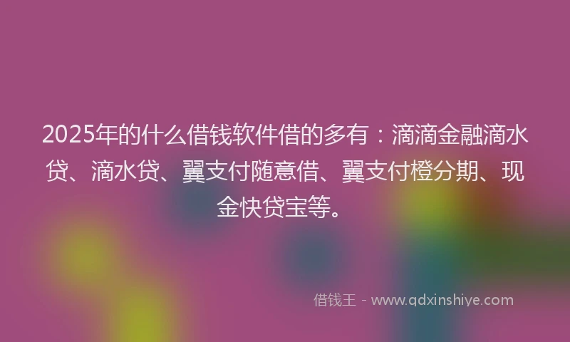2025年的什么借钱软件借的多有：滴滴金融滴水贷、滴水贷、翼支付随意借、翼支付橙分期、现金快贷宝等。