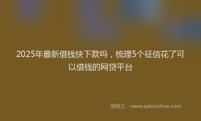 2025年最新借钱快下款吗，梳理5个征信花了可以借钱的网贷平台