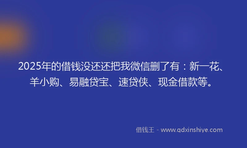 2025年的借钱没还还把我微信删了有：新一花、羊小购、易融贷宝、速贷侠、现金借款等。