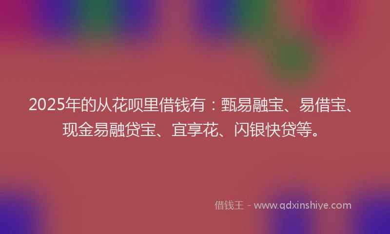 2025年的从花呗里借钱有：甄易融宝、易借宝、现金易融贷宝、宜享花、闪银快贷等。