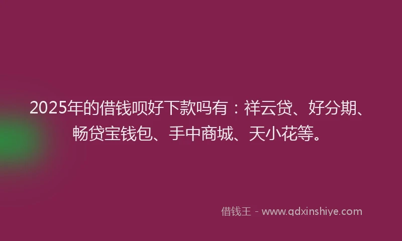 2025年的借钱呗好下款吗有：祥云贷、好分期、畅贷宝钱包、手中商城、天小花等。