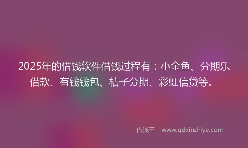 2025年的借钱软件借钱过程有：小金鱼、分期乐借款、有钱钱包、桔子分期、彩虹信贷等。