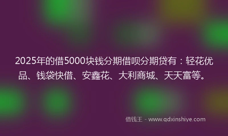 2025年的借5000块钱分期借呗分期贷有：轻花优品、钱袋快借、安鑫花、大利商城、天天富等。