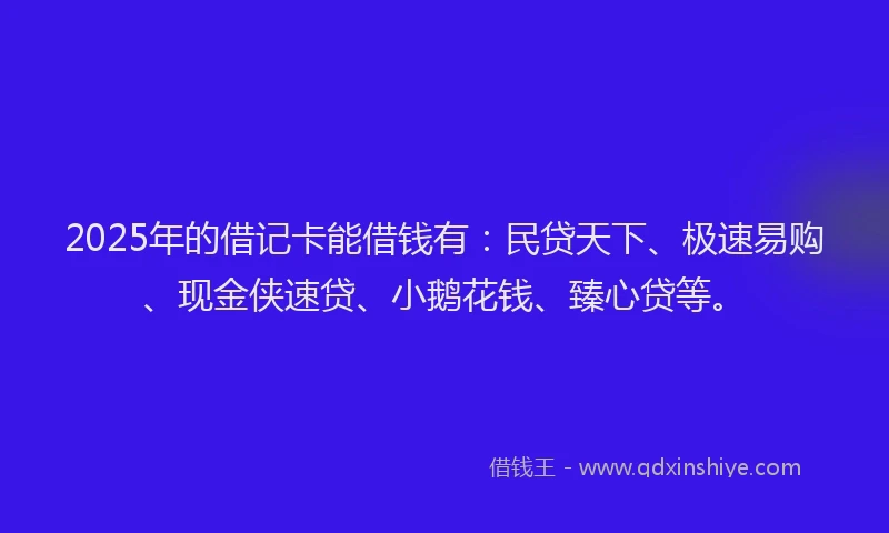 2025年的借记卡能借钱有：民贷天下、极速易购、现金侠速贷、小鹅花钱、臻心贷等。