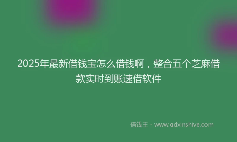 2025年最新借钱宝怎么借钱啊，整合五个芝麻借款实时到账速借软件