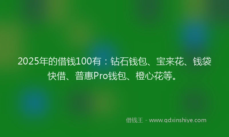 2025年的借钱100有：钻石钱包、宝来花、钱袋快借、普惠Pro钱包、橙心花等。