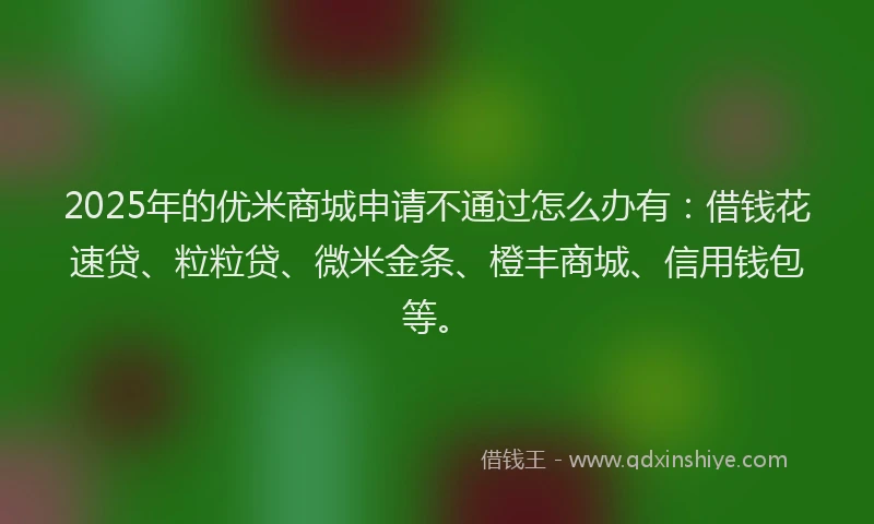 2025年的优米商城申请不通过怎么办有：借钱花速贷、粒粒贷、微米金条、橙丰商城、信用钱包等。