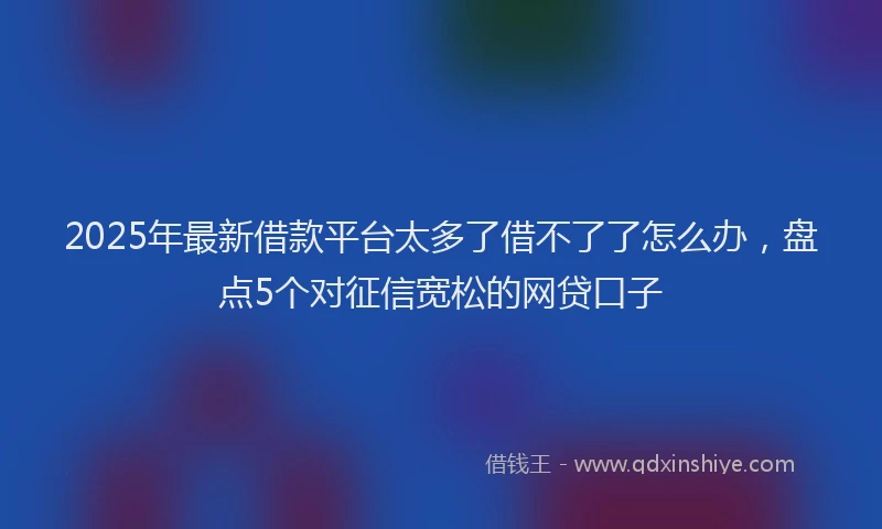 2025年最新借款平台太多了借不了了怎么办，盘点5个对征信宽松的网贷口子