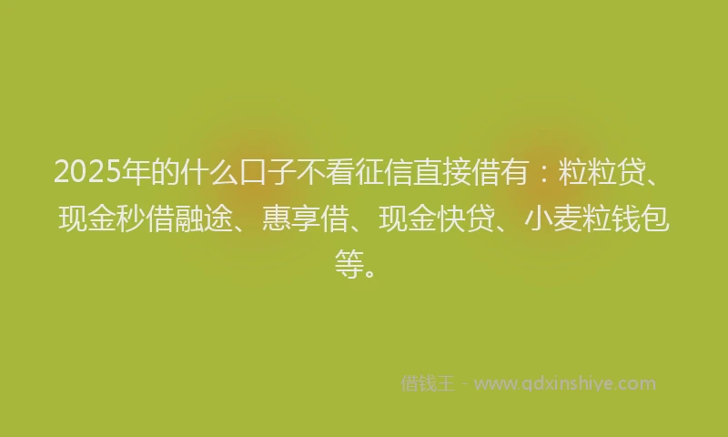 2025年的什么口子不看征信直接借有：粒粒贷、现金秒借融途、惠享借、现金快贷、小麦粒钱包等。
