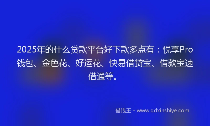 2025年的什么贷款平台好下款多点有：悦享Pro钱包、金色花、好运花、快易借贷宝、借款宝速借通等。