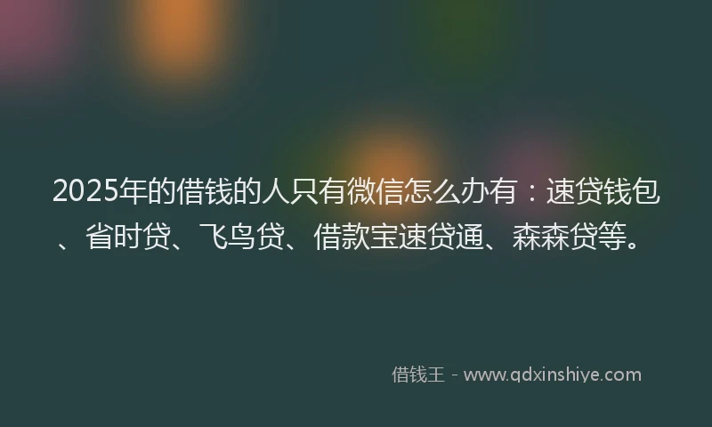 2025年的借钱的人只有微信怎么办有：速贷钱包、省时贷、飞鸟贷、借款宝速贷通、森森贷等。