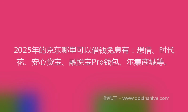 2025年的京东哪里可以借钱免息有：想借、时代花、安心贷宝、融悦宝Pro钱包、尔集商城等。