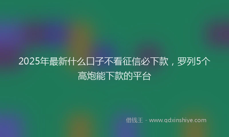 2025年最新什么口子不看征信必下款，罗列5个高炮能下款的平台
