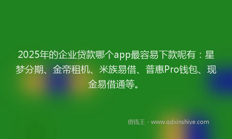 2025年的企业贷款哪个app最容易下款呢有：星梦分期、金帝租机、米族易借、普惠Pro钱包、现金易借通等。