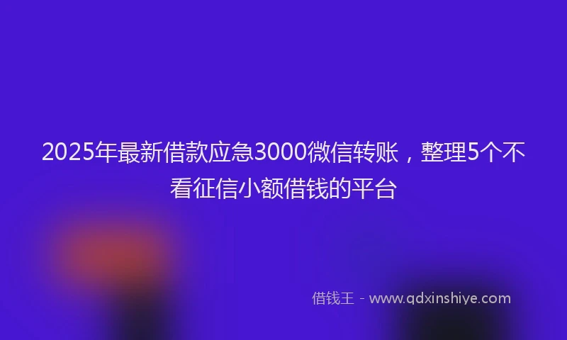 2025年最新借款应急3000微信转账，整理5个不看征信小额借钱的平台
