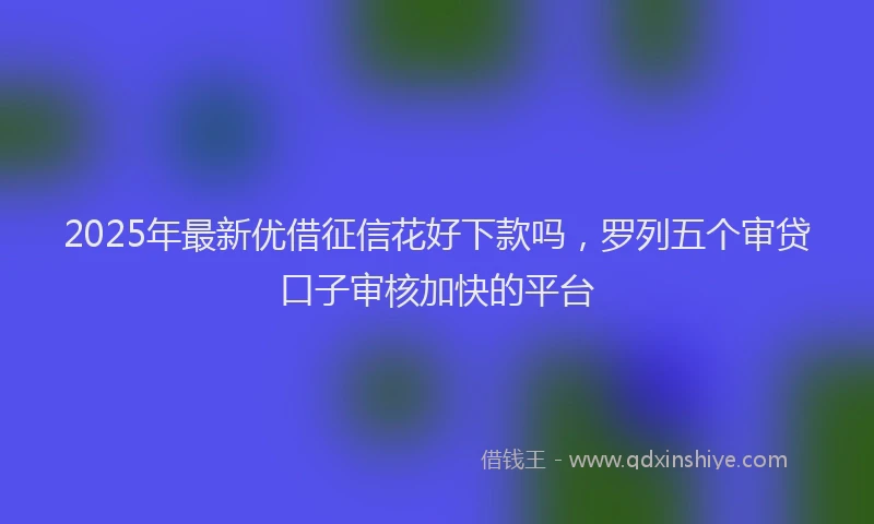 2025年最新优借征信花好下款吗，罗列五个审贷口子审核加快的平台