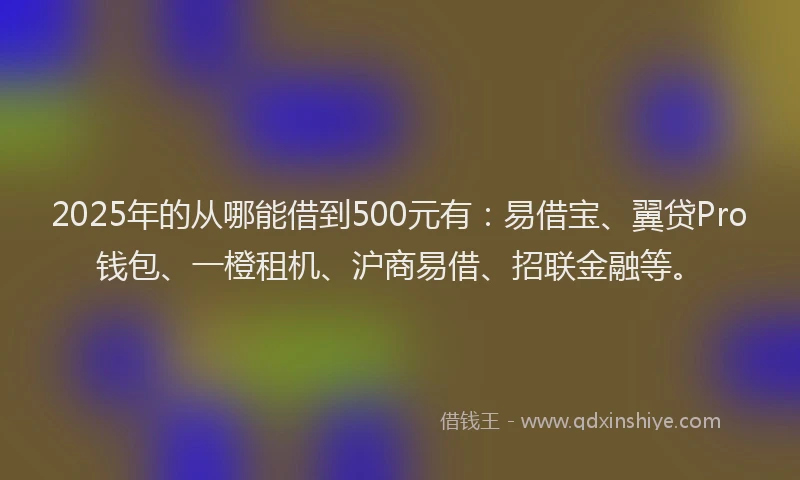 2025年的从哪能借到500元有：易借宝、翼贷Pro钱包、一橙租机、沪商易借、招联金融等。