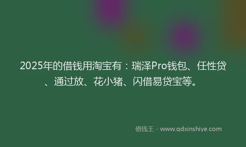 2025年的借钱用淘宝有：瑞泽Pro钱包、任性贷、通过放、花小猪、闪借易贷宝等。