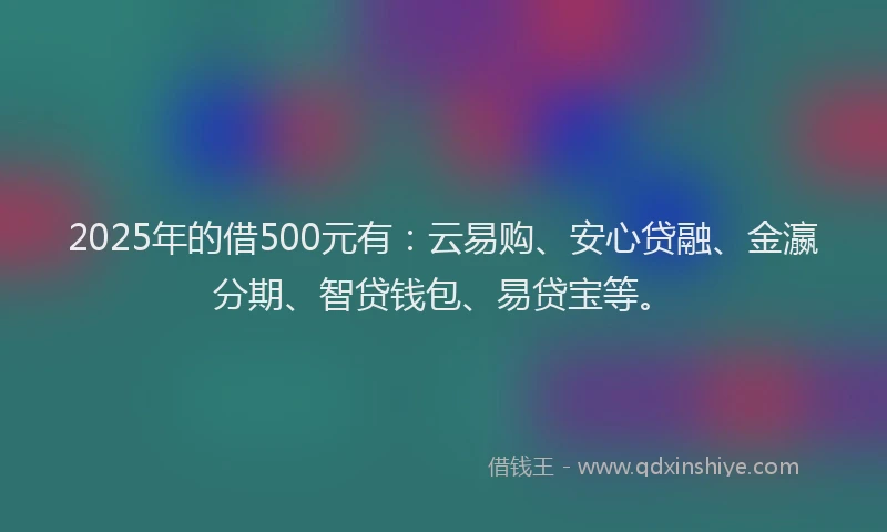 2025年的借500元有：云易购、安心贷融、金瀛分期、智贷钱包、易贷宝等。