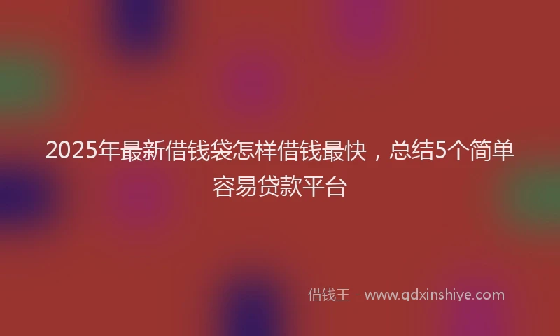 2025年最新借钱袋怎样借钱最快，总结5个简单容易贷款平台