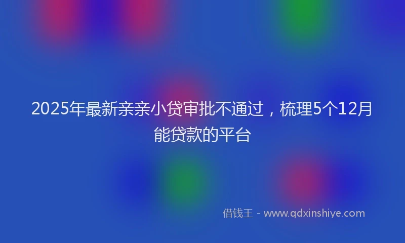 2025年最新亲亲小贷审批不通过，梳理5个12月能贷款的平台