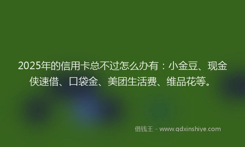 2025年的信用卡总不过怎么办有：小金豆、现金侠速借、口袋金、美团生活费、维品花等。