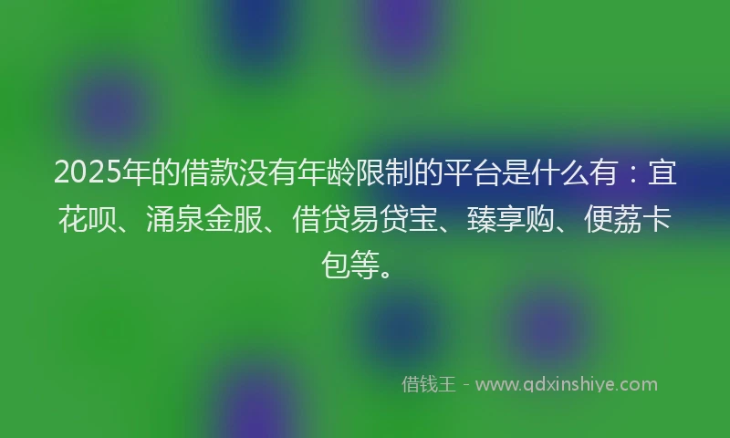2025年的借款没有年龄限制的平台是什么有：宜花呗、涌泉金服、借贷易贷宝、臻享购、便荔卡包等。