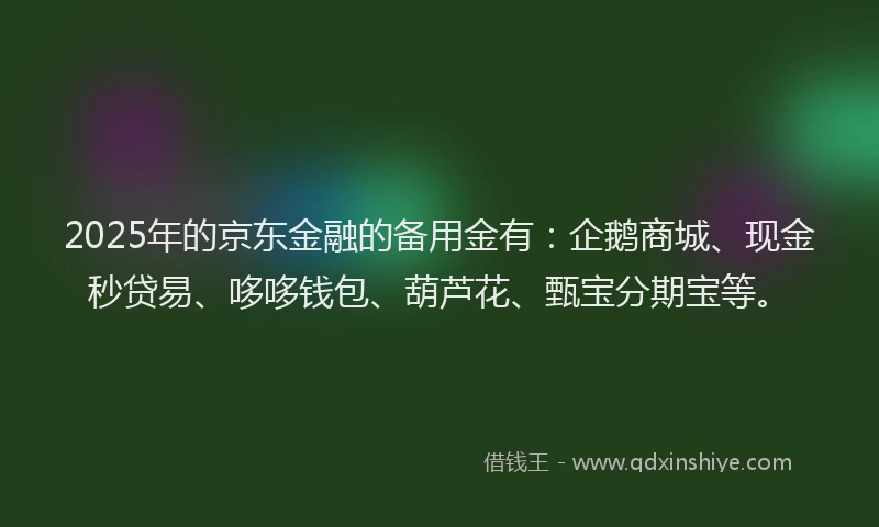 2025年的京东金融的备用金有：企鹅商城、现金秒贷易、哆哆钱包、葫芦花、甄宝分期宝等。
