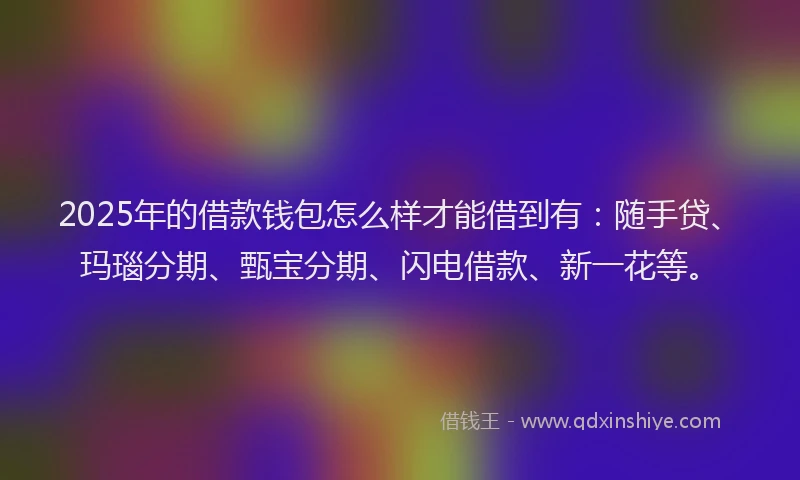 2025年的借款钱包怎么样才能借到有：随手贷、玛瑙分期、甄宝分期、闪电借款、新一花等。