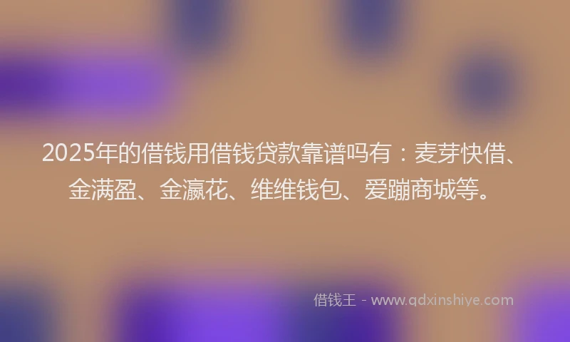 2025年的借钱用借钱贷款靠谱吗有：麦芽快借、金满盈、金瀛花、维维钱包、爱蹦商城等。