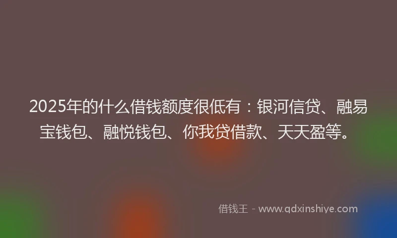 2025年的什么借钱额度很低有：银河信贷、融易宝钱包、融悦钱包、你我贷借款、天天盈等。