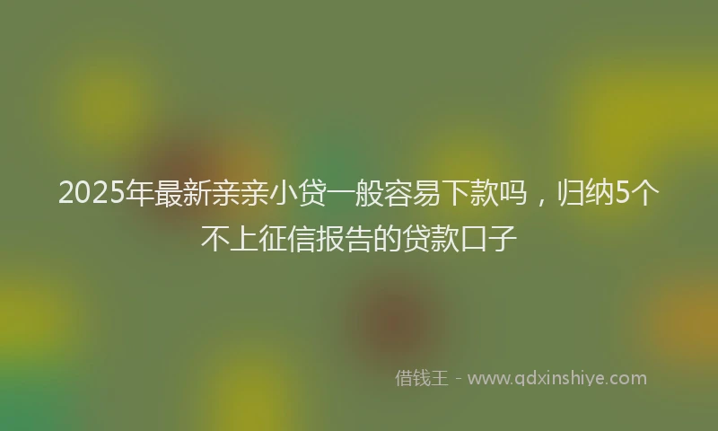 2025年最新亲亲小贷一般容易下款吗，归纳5个不上征信报告的贷款口子