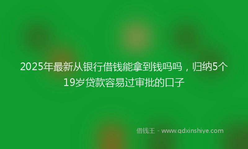 2025年最新从银行借钱能拿到钱吗吗，归纳5个19岁贷款容易过审批的口子