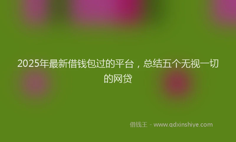 2025年最新借钱包过的平台，总结五个无视一切的网贷