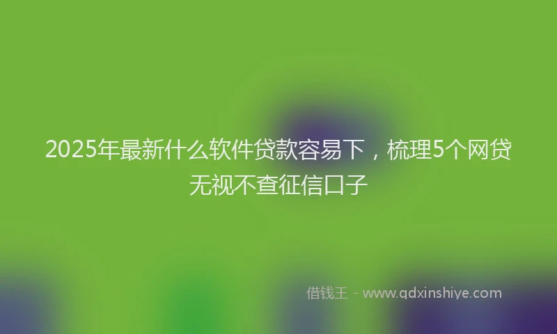 2025年最新什么软件贷款容易下，梳理5个网贷无视不查征信口子