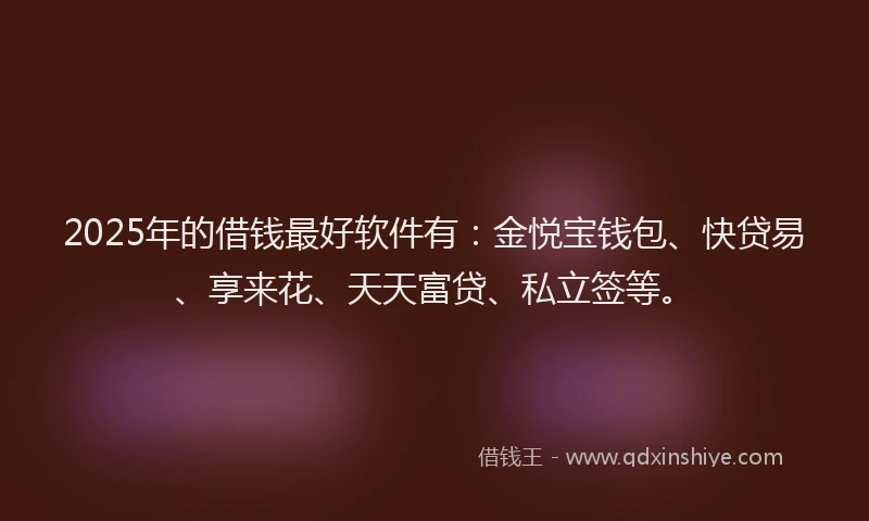 2025年的借钱最好软件有：金悦宝钱包、快贷易、享来花、天天富贷、私立签等。