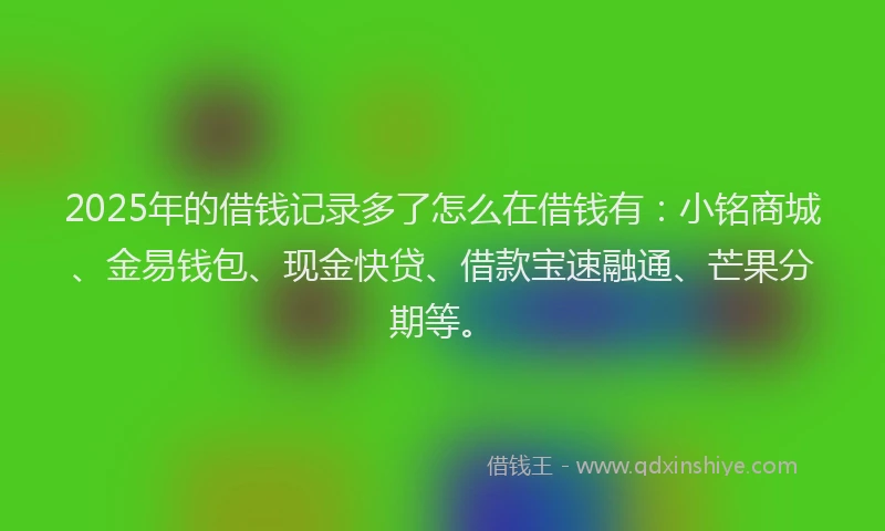 2025年的借钱记录多了怎么在借钱有：小铭商城、金易钱包、现金快贷、借款宝速融通、芒果分期等。
