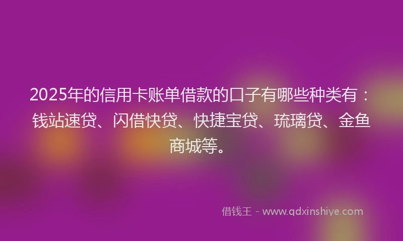 2025年的信用卡账单借款的口子有哪些种类有：钱站速贷、闪借快贷、快捷宝贷、琉璃贷、金鱼商城等。