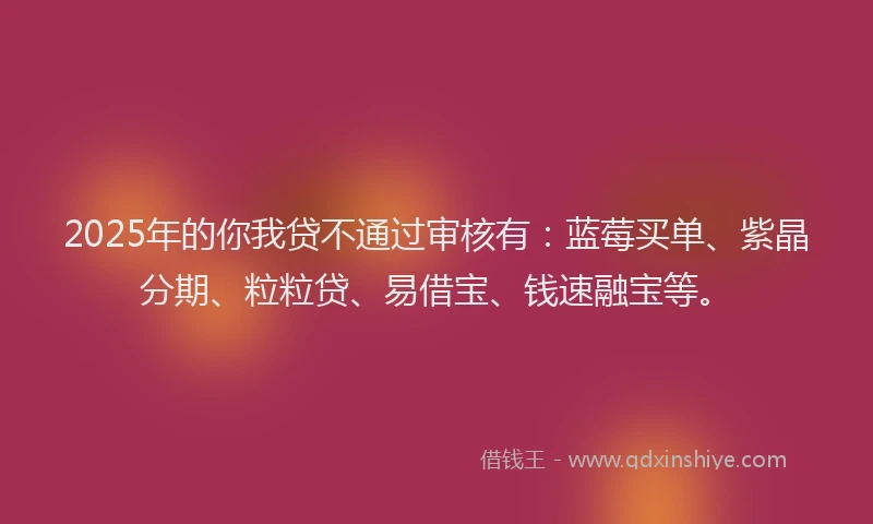 2025年的你我贷不通过审核有：蓝莓买单、紫晶分期、粒粒贷、易借宝、钱速融宝等。