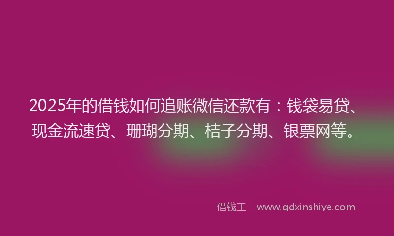 2025年的借钱如何追账微信还款有：钱袋易贷、现金流速贷、珊瑚分期、桔子分期、银票网等。