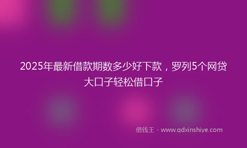 2025年最新借款期数多少好下款，罗列5个网贷大口子轻松借口子