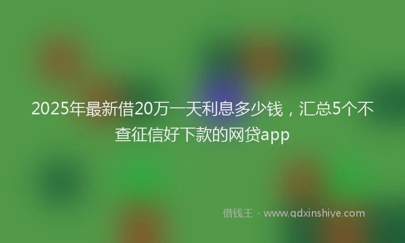 2025年最新借20万一天利息多少钱，汇总5个不查征信好下款的网贷app