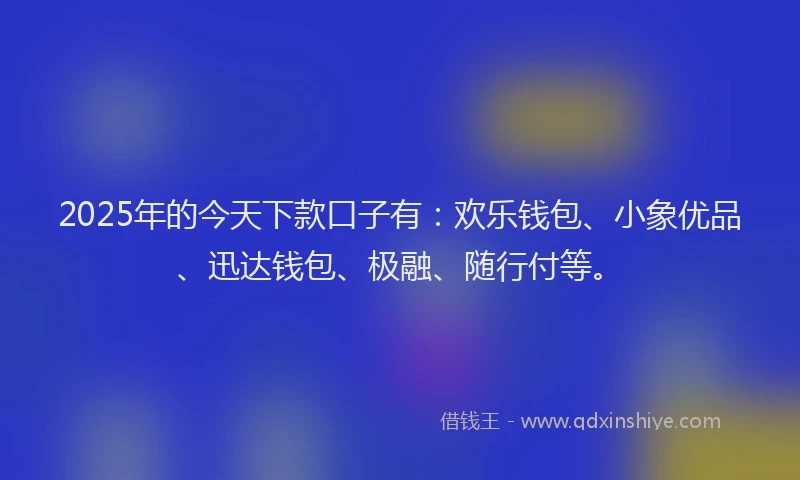 2025年的今天下款口子有：欢乐钱包、小象优品、迅达钱包、极融、随行付等。