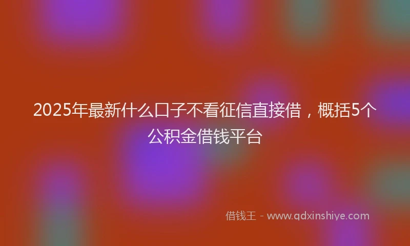 2025年最新什么口子不看征信直接借，概括5个公积金借钱平台