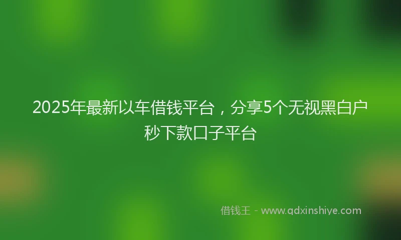 2025年最新以车借钱平台，分享5个无视黑白户秒下款口子平台