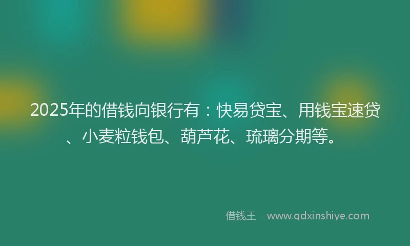 2025年的借钱向银行有：快易贷宝、用钱宝速贷、小麦粒钱包、葫芦花、琉璃分期等。