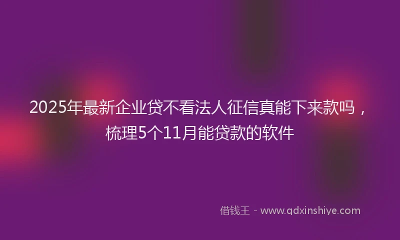 2025年最新企业贷不看法人征信真能下来款吗，梳理5个11月能贷款的软件
