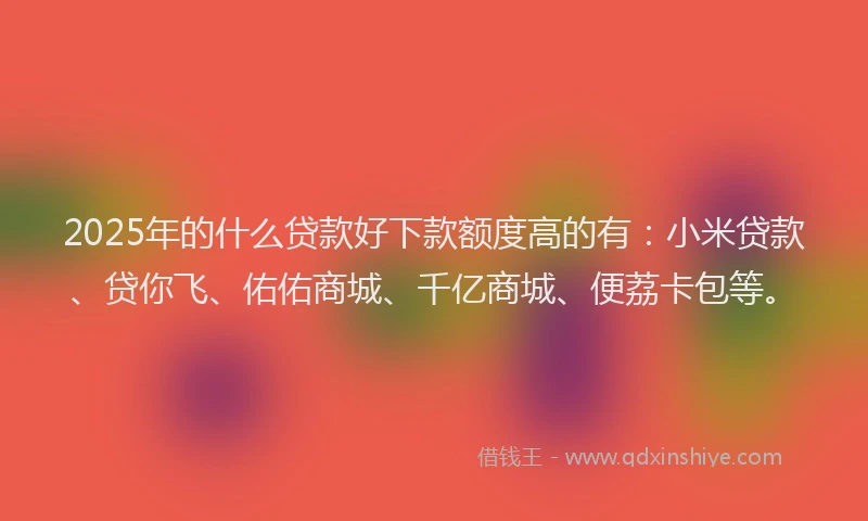 2025年的什么贷款好下款额度高的有：小米贷款、贷你飞、佑佑商城、千亿商城、便荔卡包等。