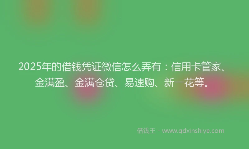 2025年的借钱凭证微信怎么弄有：信用卡管家、金满盈、金满仓贷、易速购、新一花等。
