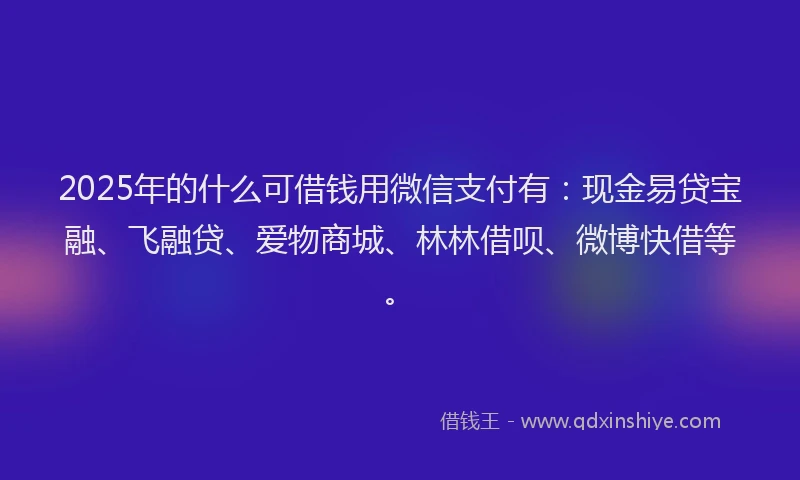 2025年的什么可借钱用微信支付有：现金易贷宝融、飞融贷、爱物商城、林林借呗、微博快借等。